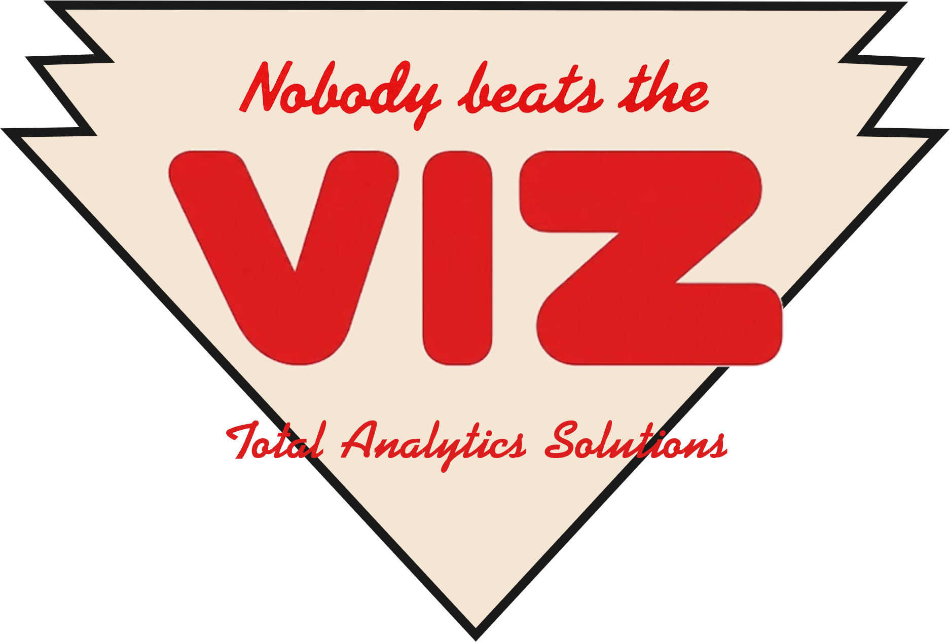 Nobody Beats the Viz — chevron logo with VIZ wordmark and Total Analytics Solutions tagline